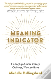Capa do artigo Meaning Indicator