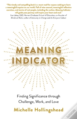 Capa do artigo Meaning Indicator