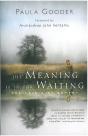 Meaning Is In The Waiting - Preview