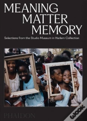 Capa do artigo Meaning Matter Memory