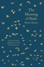 Meaning Of Birds - Preview