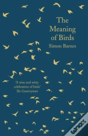 Capa do artigo Meaning Of Birds
