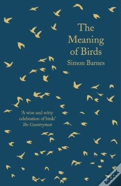 Capa do artigo Meaning Of Birds