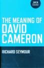 Meaning Of David Cameron, The - Preview