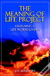 Capa do artigo Meaning Of Life Project