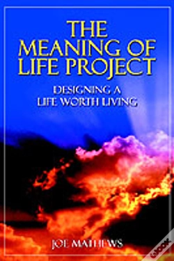 Capa do artigo Meaning Of Life Project