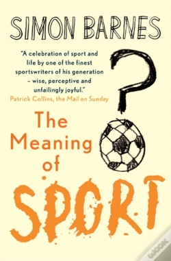 Capa do artigo Meaning Of Sport
