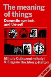 Capa do artigo Meaning Of Things