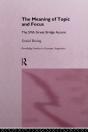 Meaning Of Topic And Focus - Preview