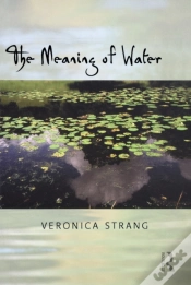 Capa do artigo Meaning Of Water