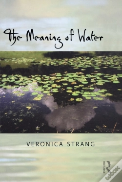 Capa do artigo Meaning Of Water