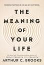 Meaning Of Your Life - Preview