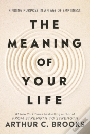 Capa do artigo Meaning Of Your Life