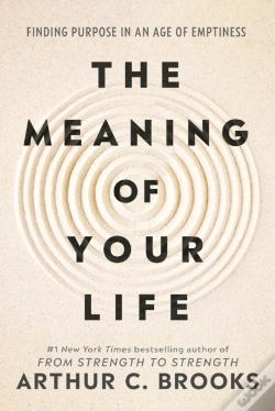 Capa do artigo Meaning Of Your Life