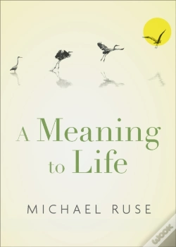 Capa do artigo Meaning To Life