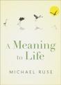 Meaning To Life - Preview