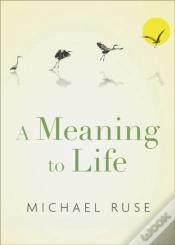 Capa do artigo Meaning To Life