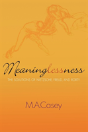 Meaninglessness - Preview