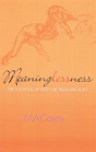 Meaninglessness - Preview