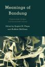 Meanings Of Bandung - Preview