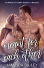 Meant For Each Other - Preview