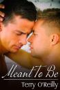 Meant To Be - Preview