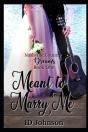 Meant To Marry Me - Preview