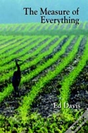 Capa do artigo Measure Of Everything