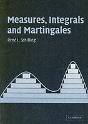 Measures, Integrals And Martingales - Preview