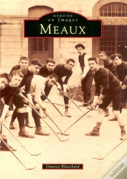 Capa do artigo Meaux