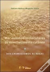 Capa do artigo Mecanismos Moleculares do Envelhecimento Cutâneo