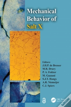 Capa do artigo Mechanical Behavior Of Salt X