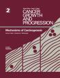 Mechanisms Of Carcinogenesis - Preview