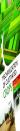 Mechanization Of Cultivated Crops