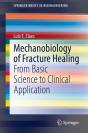 Mechanobiology Of Fracture Healing - Preview