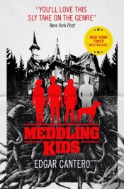 Capa do artigo Meddling Kids