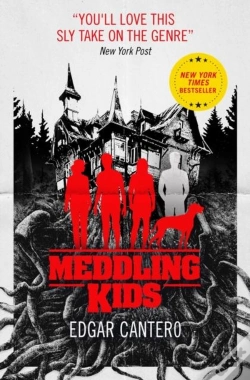 Capa do artigo Meddling Kids