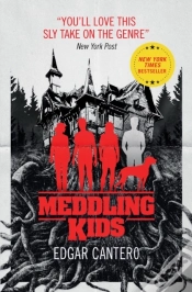 Capa do artigo Meddling Kids