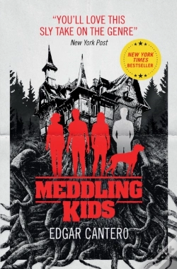 Capa do artigo Meddling Kids