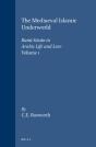 Mediaeval Islamic Underworld - Preview