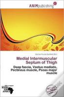 Medial Intermuscular Septum Of Thigh
