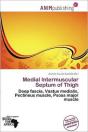 Medial Intermuscular Septum Of Thigh - Preview