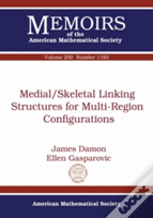 Medial/Skeletal Linking Structures For Multi-Region Configurations