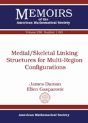 Medial/Skeletal Linking Structures For Multi-Region Configurations - Preview