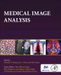 Medical Image Analysis - Preview