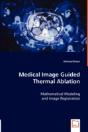 Medical Image Guided Thermal Ablation - Preview