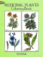 Medicinal Plants Coloring Book - Preview