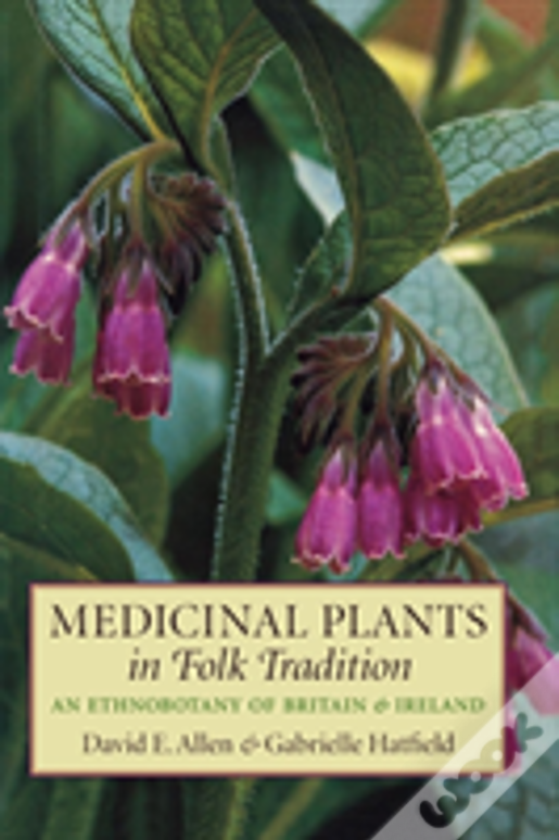 Medicinal Plants In Folk Tradition