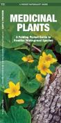 Medicinal Plants - Preview