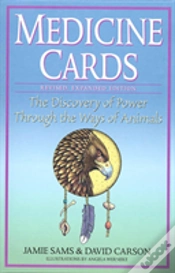 Capa do artigo Medicine Cards